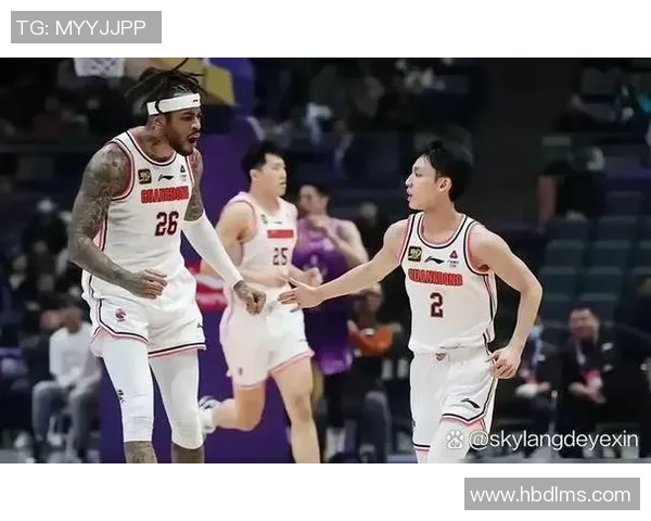 深度解析北京篮球队的战术配合与球员默契程度的对比分析